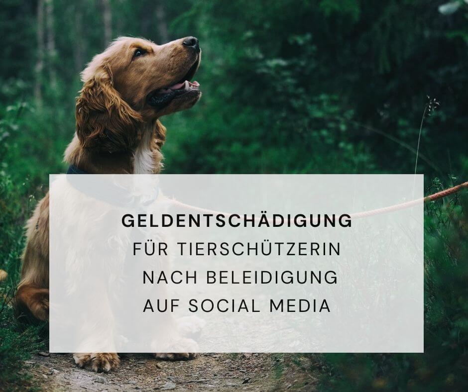 Geldentschädigung Tierschützerin Beleidigung Persönlichkeitsrecht Social Media